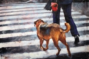 A person walking a dog across a crosswalk