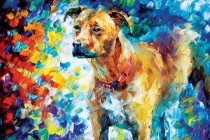 A pit bull terrier surrounded by a multicolored background