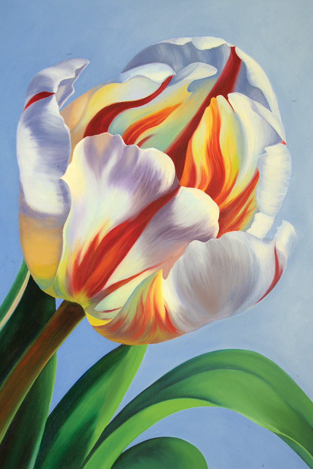 Тюльпан арта. Тюльпан art007. Принт тюльпаны. Parrot Tulips. Тюльпаны арт.