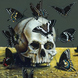 A skull surrounded by black butterflies