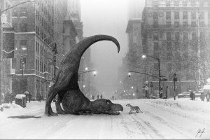 KFD54 A t-rex with its tail up in the air in front of a tiger on a snowy street surrounded by buildings