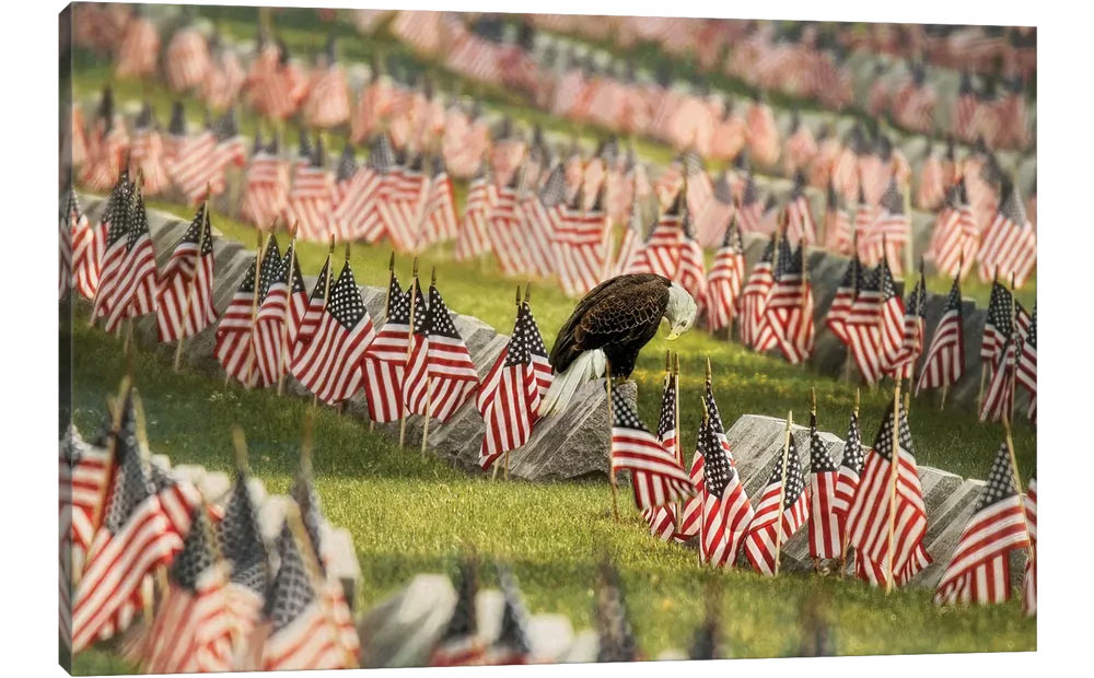 The Final Salute Blad Eagle by Carrie Ann Grippo Pike
