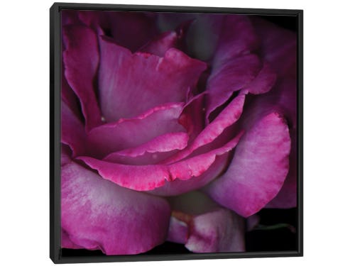 magda indigo photograph - pink flower closeup
