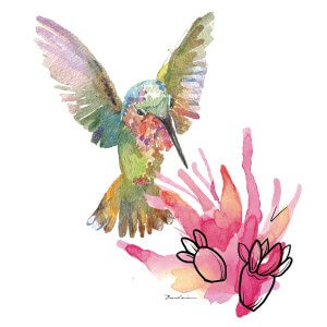 multicolored hummingbird with a pink flower