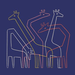 five colorful giraffes against dark blue background