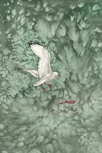 White bird against textured green background