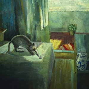 cat stretching on a bed in a green room