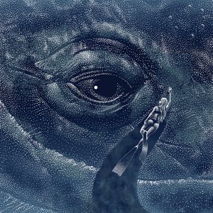 a woman swimming through water neck to the giant eye of a whale