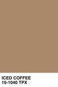 brown color palette titled iced coffee