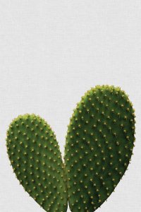 ORA100 cactus in the shape of a heart