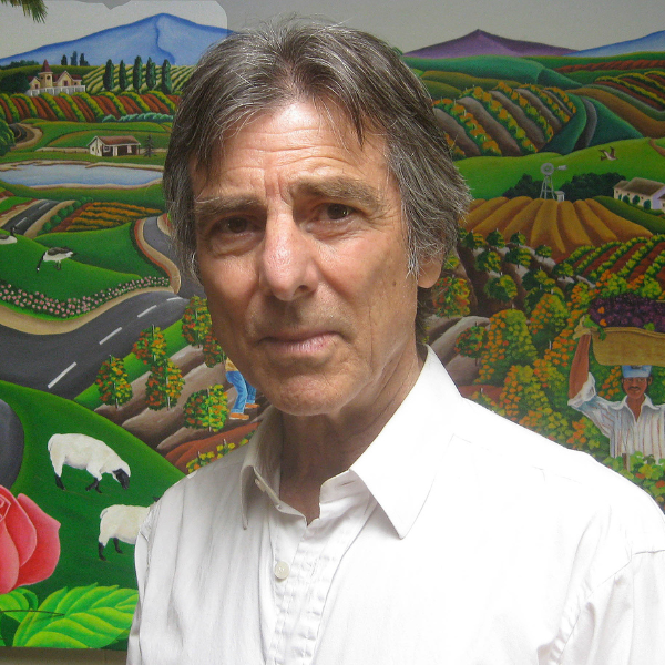 Raul Del Rio artist
