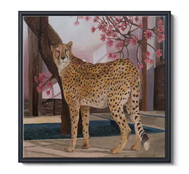 cheetah underneath pink flowering tree
