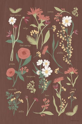 wildflowers against brown background