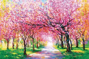 pink cherry blossom trees surrounded by green grass and a walking path