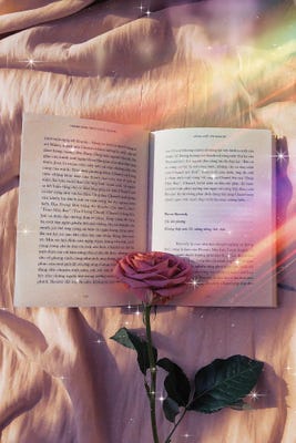 a rose lying on an open book with rainbow reflections