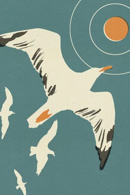 seagulls with blue background