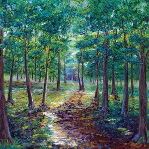 Forest of green trees with a path in the middle