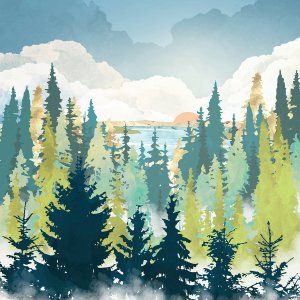 summertime forest with mountains in the background