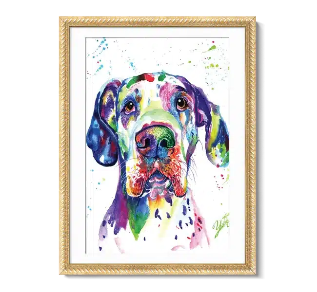 colorful great dane dog portrait