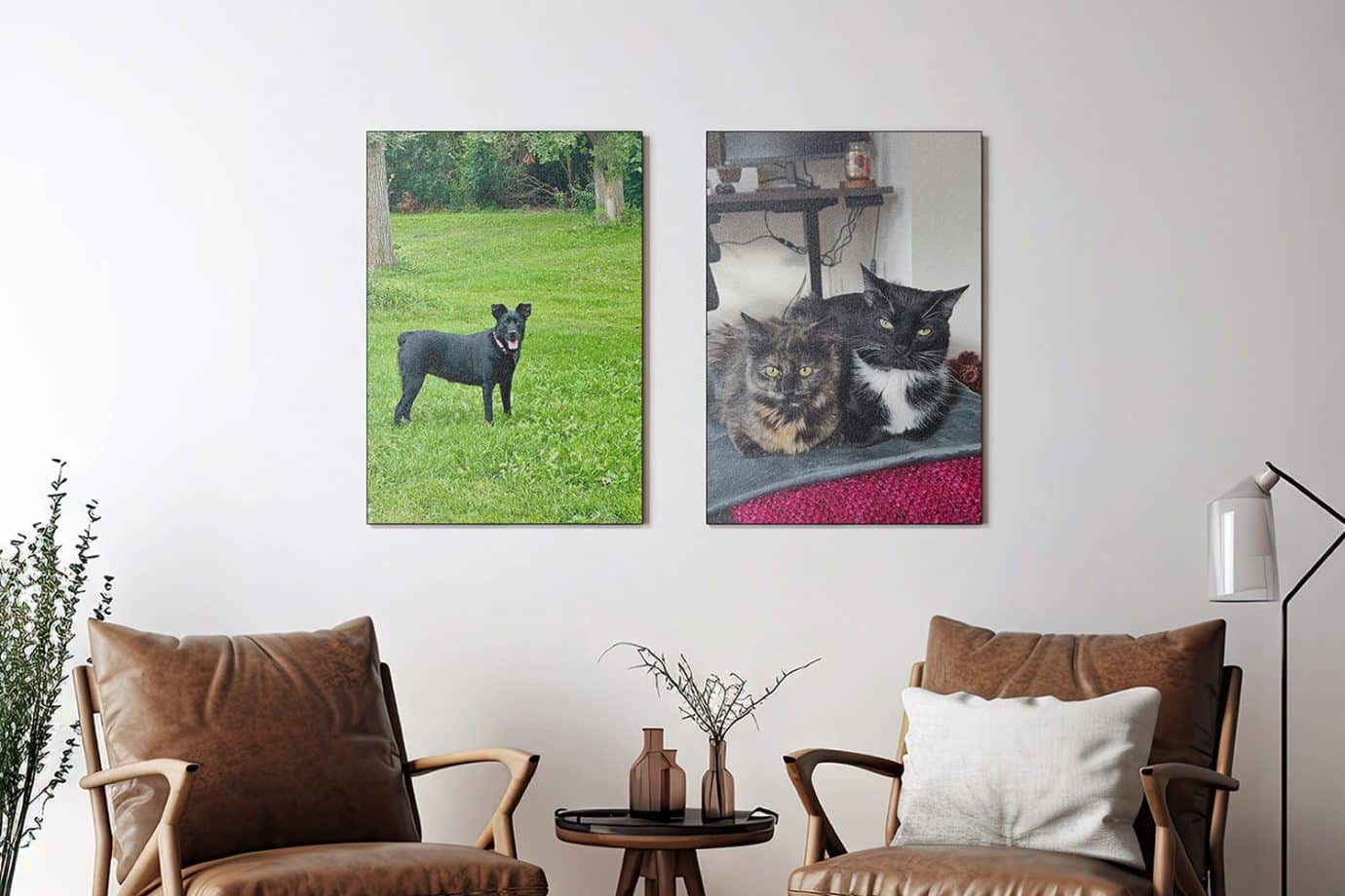pet photos
