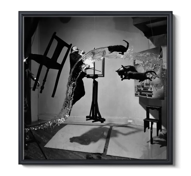 furniture floating in air with man and animals