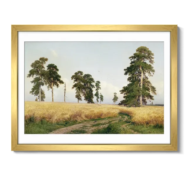 path leading through wheat field