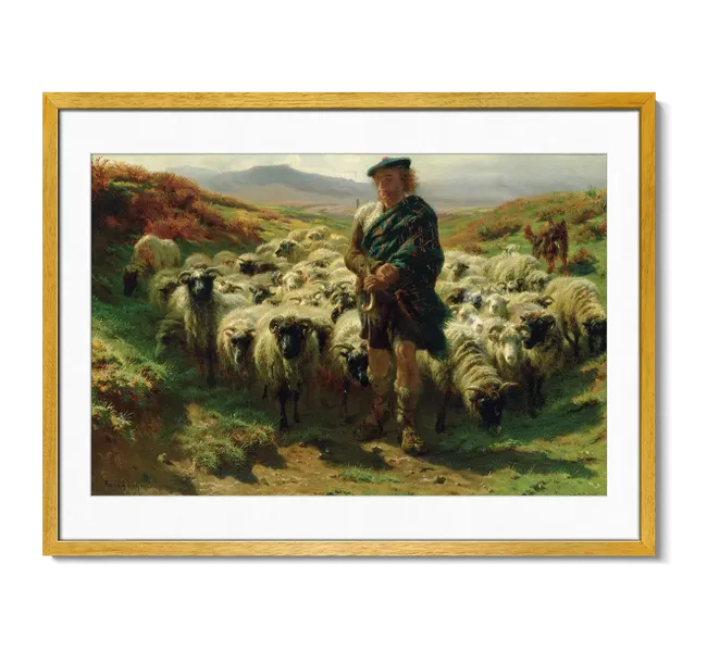 man standing in field with a group of sheep
