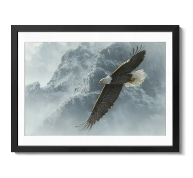 eagle in the sky