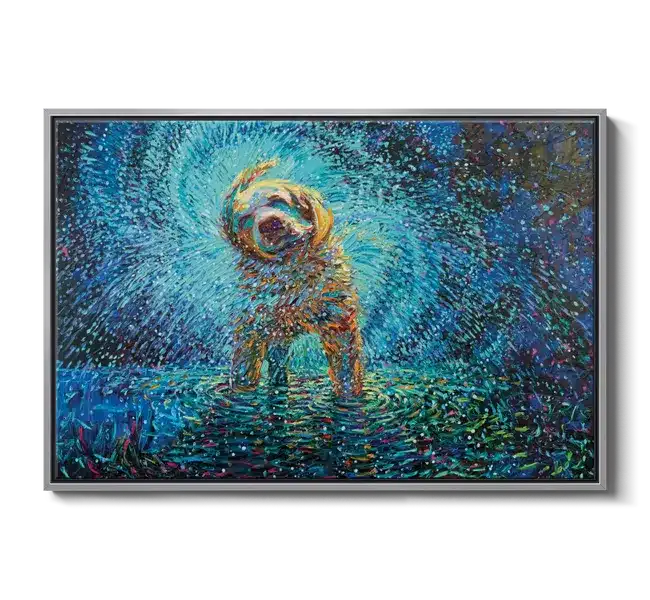 yellow labrador shaking watter off in blue scene
