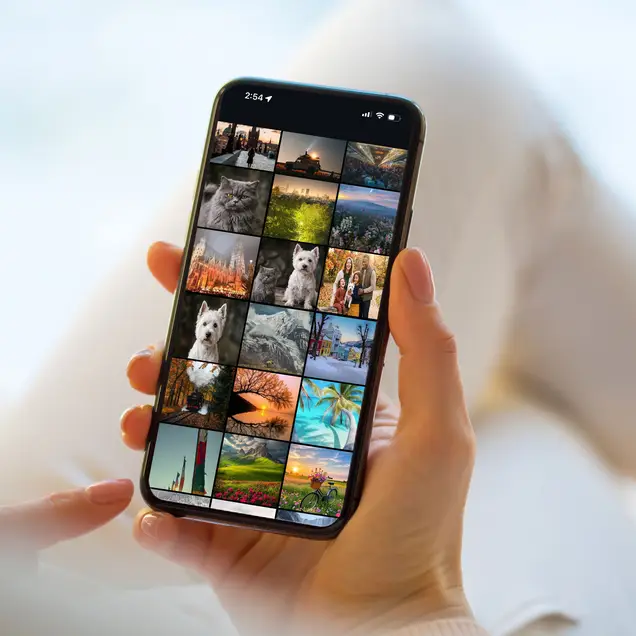 person holding phone with camera roll open