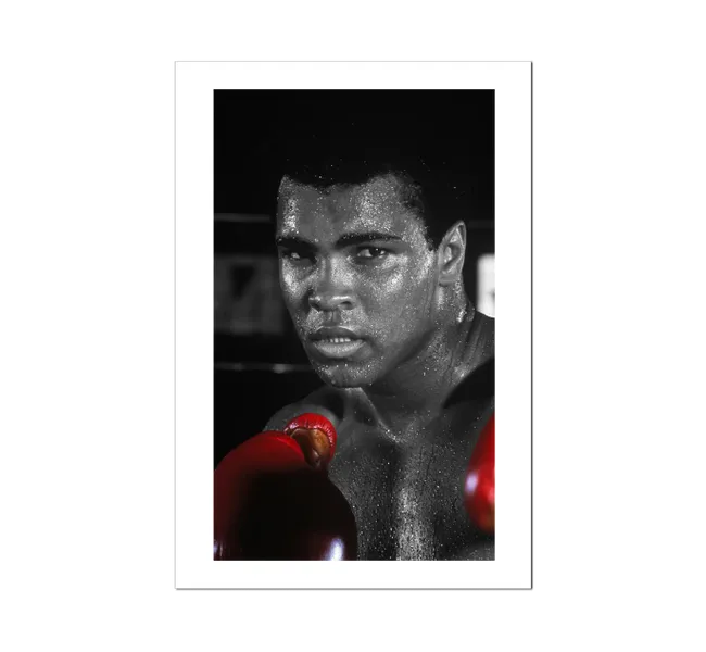 portrait of muhammad ali with red boxing gloves