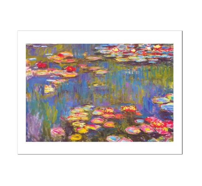 water lilies in a pond