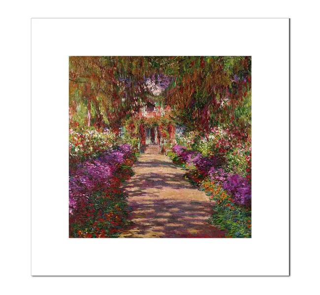 walking path in the middle of purple flowers