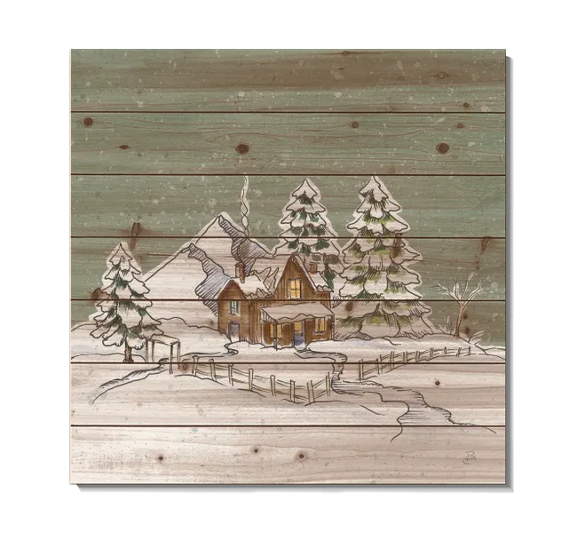 cabin surrounded by winter trees