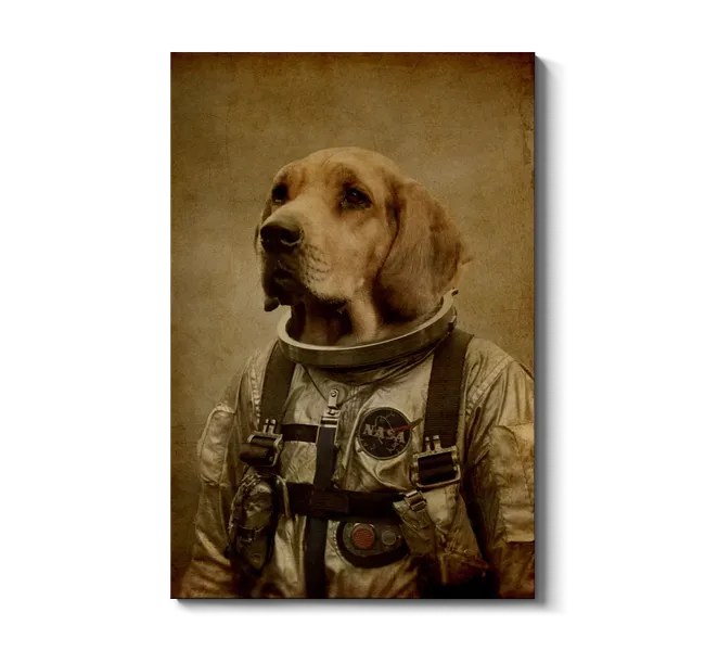 yellow labrador wearing spacesuit