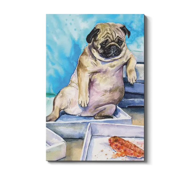 pug sitting up looking at pizza in a box