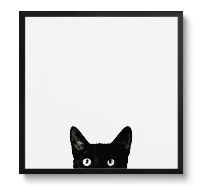 the top half of a black cat's face