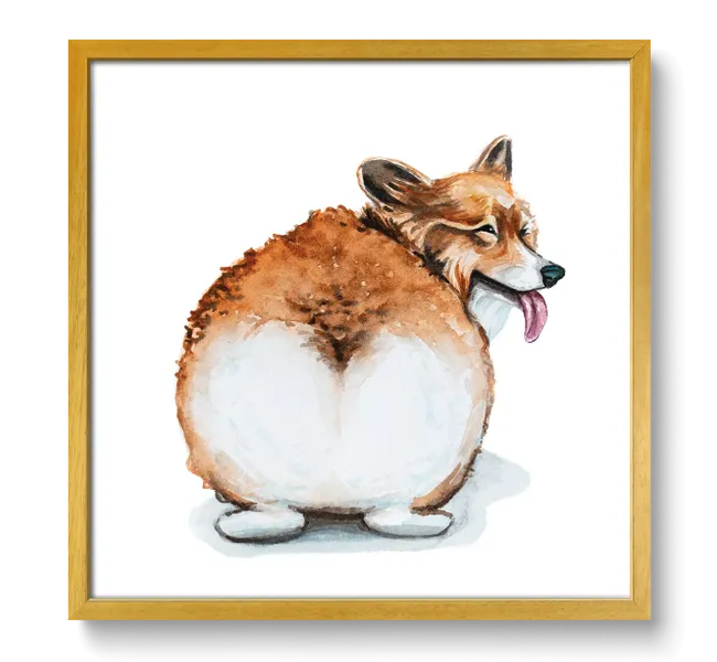 corgi's butt in frame with its head looking back
