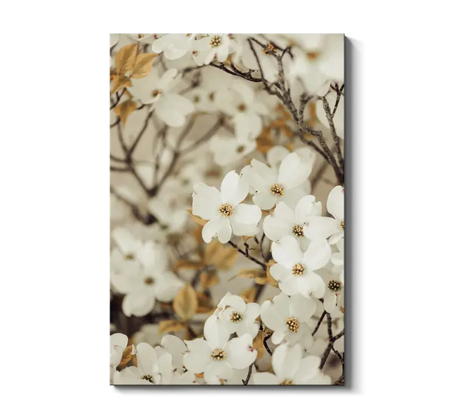white flowers on branches