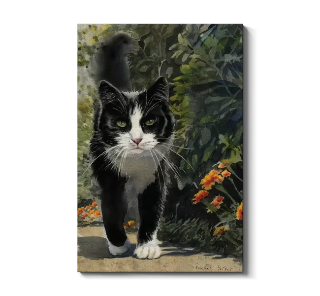 black and white tuxedo cat walking by flowers